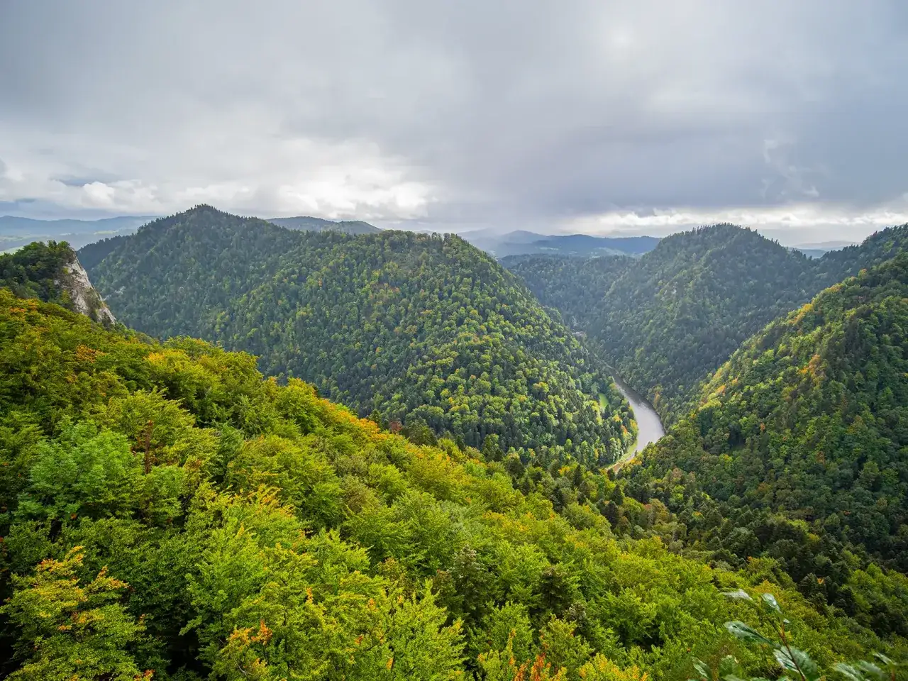 Malowniczy widok na przełom Dunajca, idealne miejsce na hiking po polsku. Zielone wzgórza i kręta rzeka pod zachmurzonym niebem.