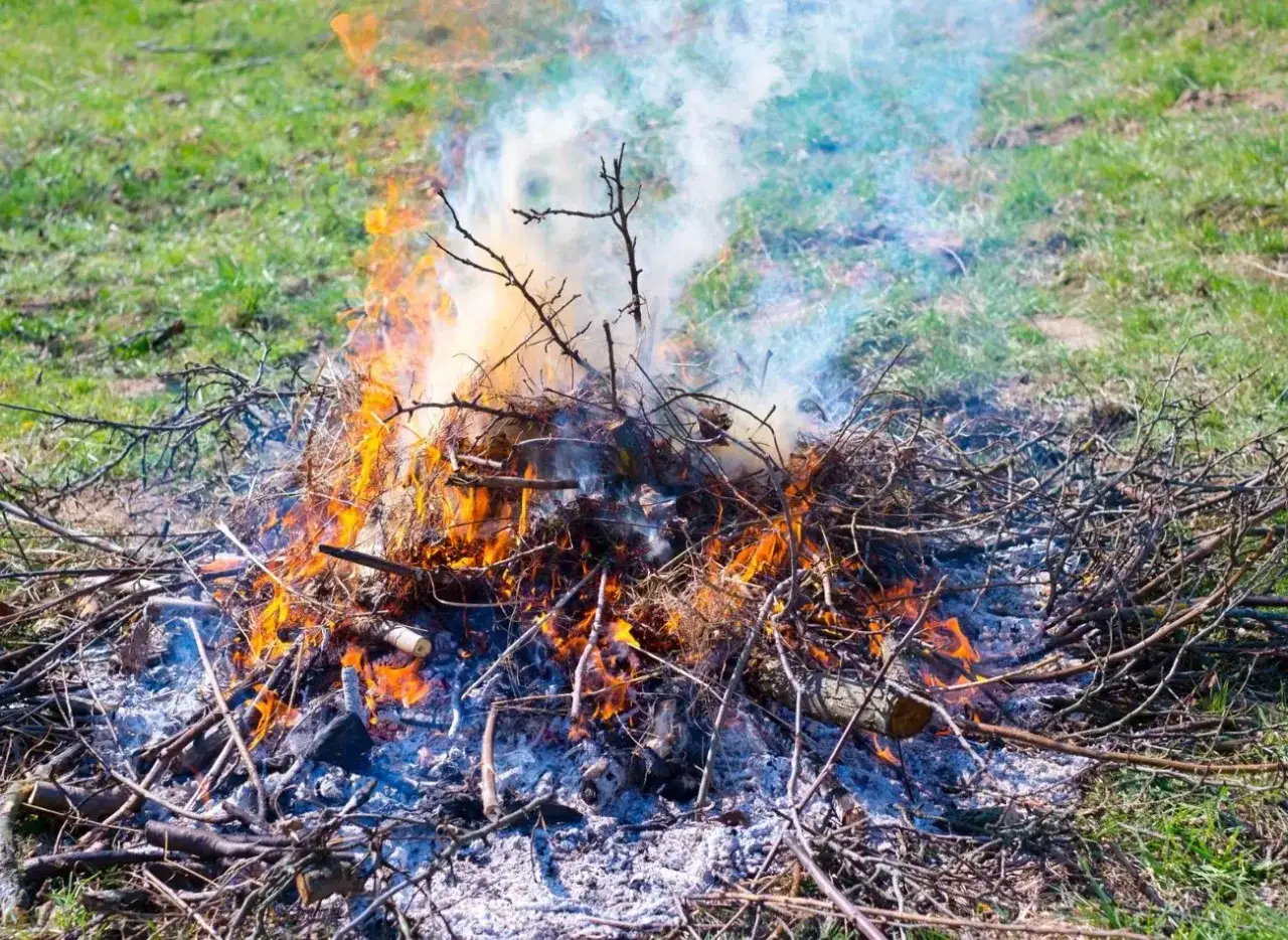 Płonące ognisko w ogrodzie, wśród zielonej trawy. Dym unosi się w powietrze, a płomienie tańczą wśród gałęzi.