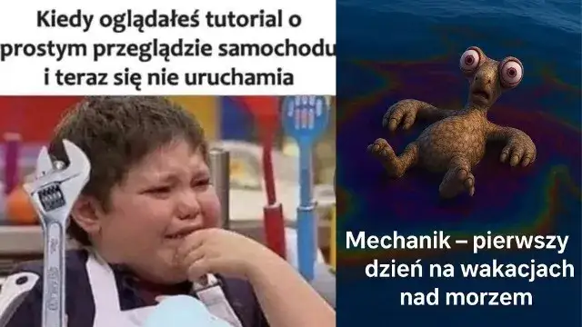 kto kierowcą był memy obrazkowe