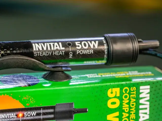 Zdjęcie Jak ustawić grzałkę w akwarium: praktyczny kompletny poradnik instalacji