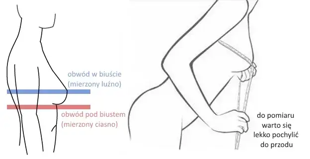 jak zmierzyć obwód pod biustem i w biuście