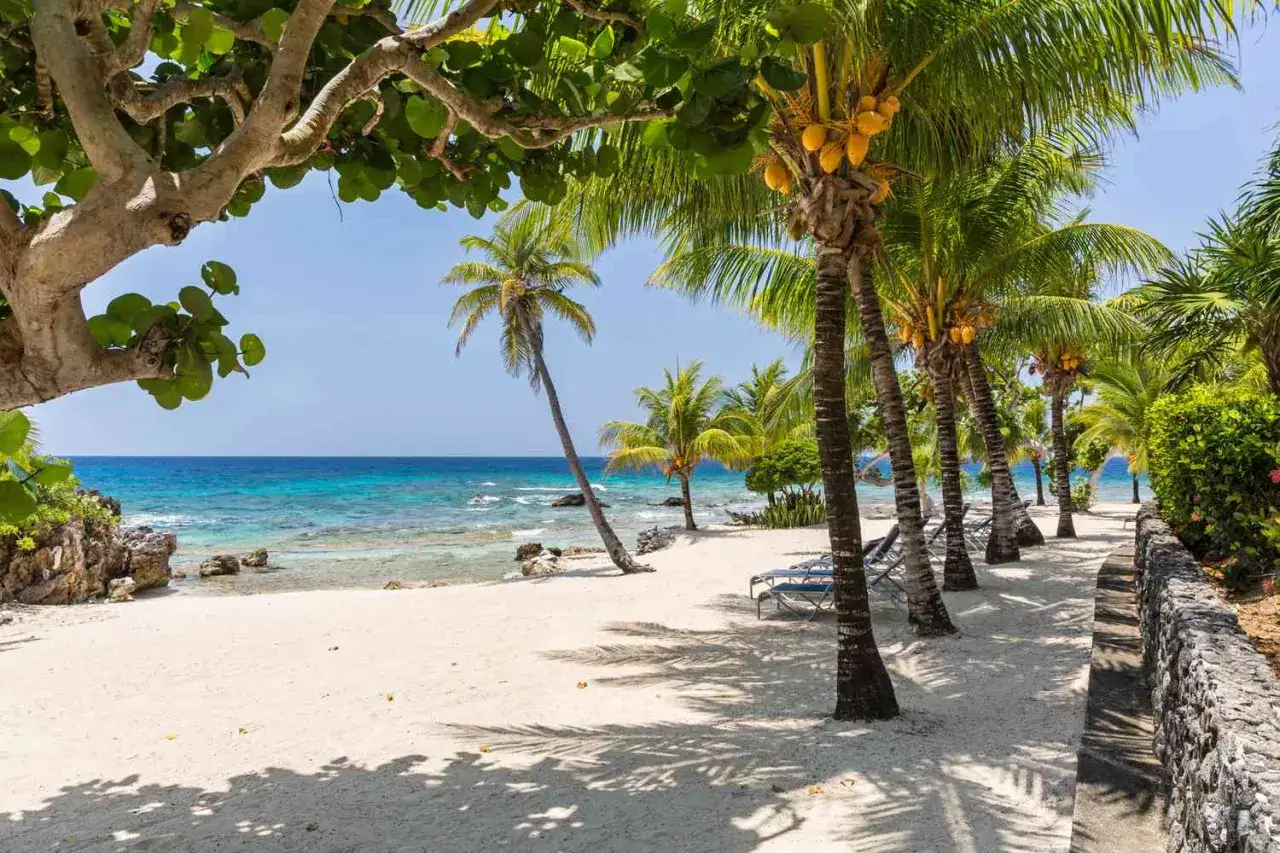 Idealne miejsce, gdzie na wakacje w czerwcu: piaszczysta plaża, palmy, turkusowe morze i leżaki czekają na Ciebie.