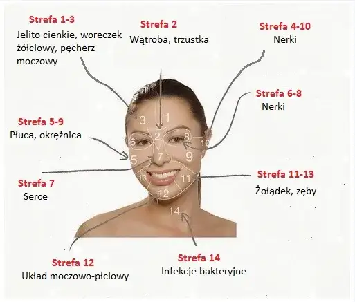 mapa twarzy pryszcze przyczyny medycyna chińska
