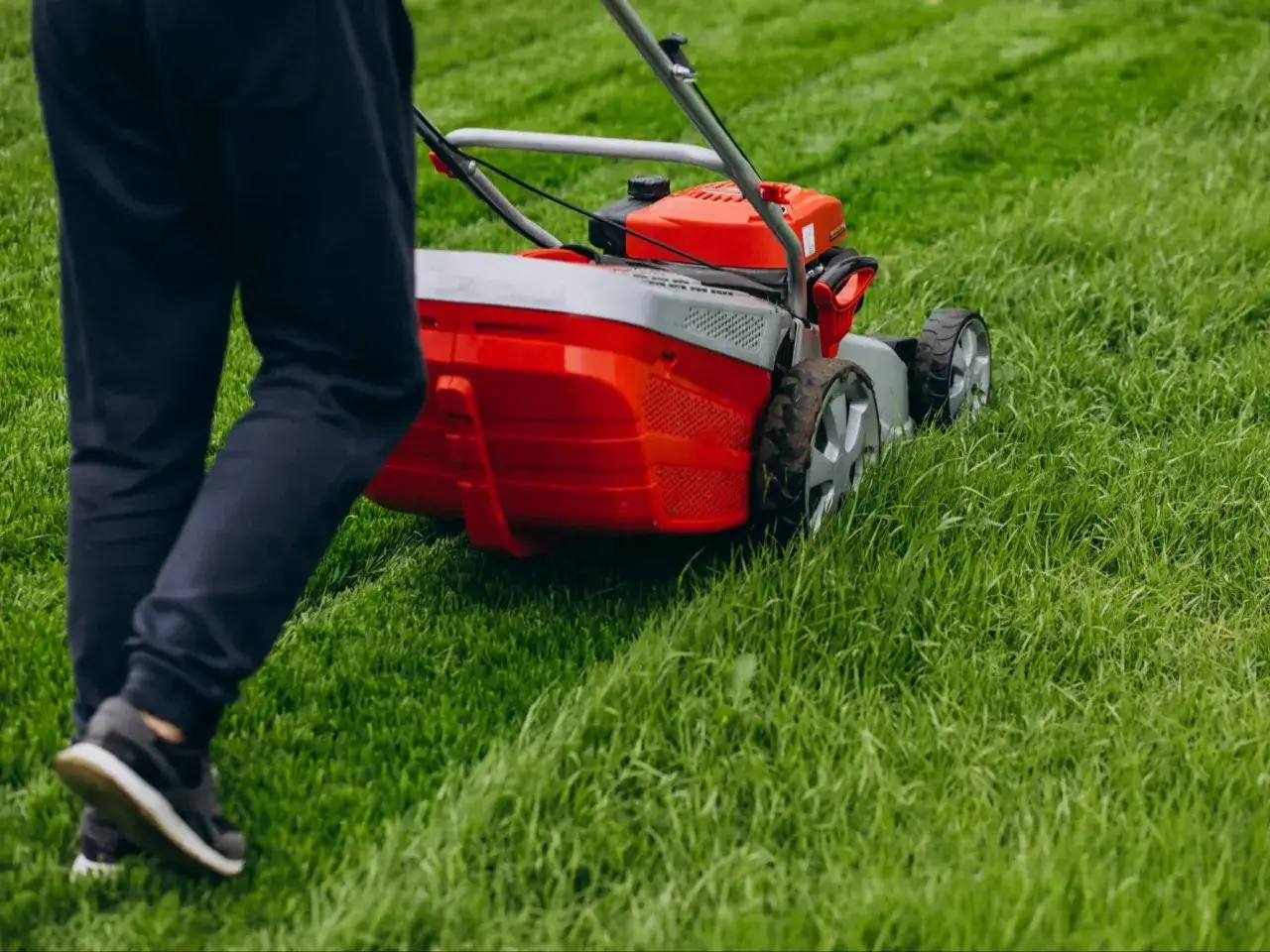 Mężczyzna w ciemnych spodniach i butach sportowych pcha czerwoną kosiarkę, ucząc się, jak kosic trawe na zielonym trawniku.