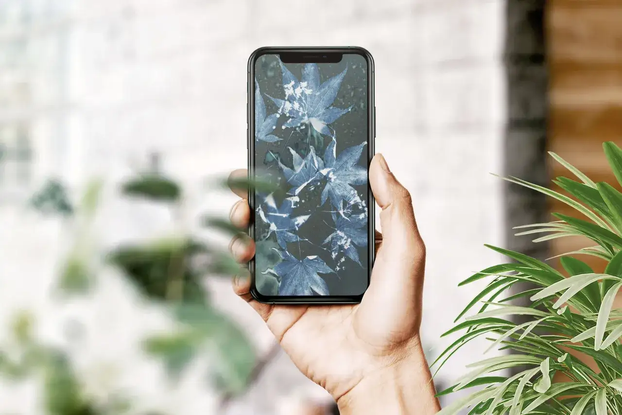 Dłoń trzyma smartfon z niebieskimi liśćmi klonu jako tapetą. Dowiedz się, jak zmienić tło w telefonie, aby nadać mu nowy wygląd.