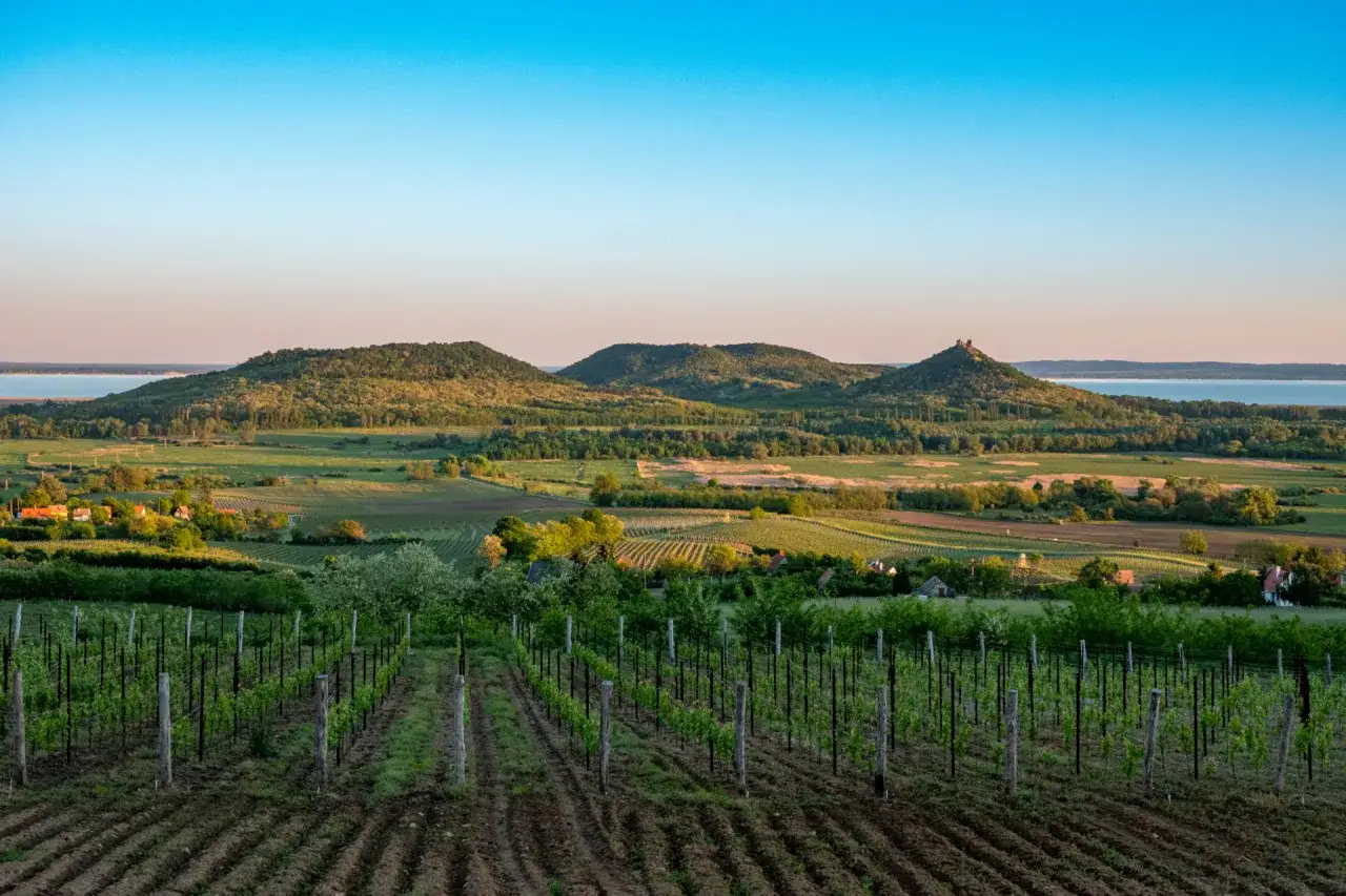 Winnice i wzgórza z ruinami zamku to idealne miejsca, co warto zobaczyć na Węgrzech. Widok na Balaton.