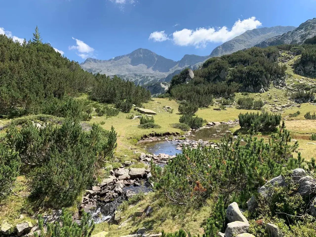Malowniczy krajobraz g&oacute;r Pirin z rwącym potokiem, zielonymi łąkami i skalistymi szczytami w tle.