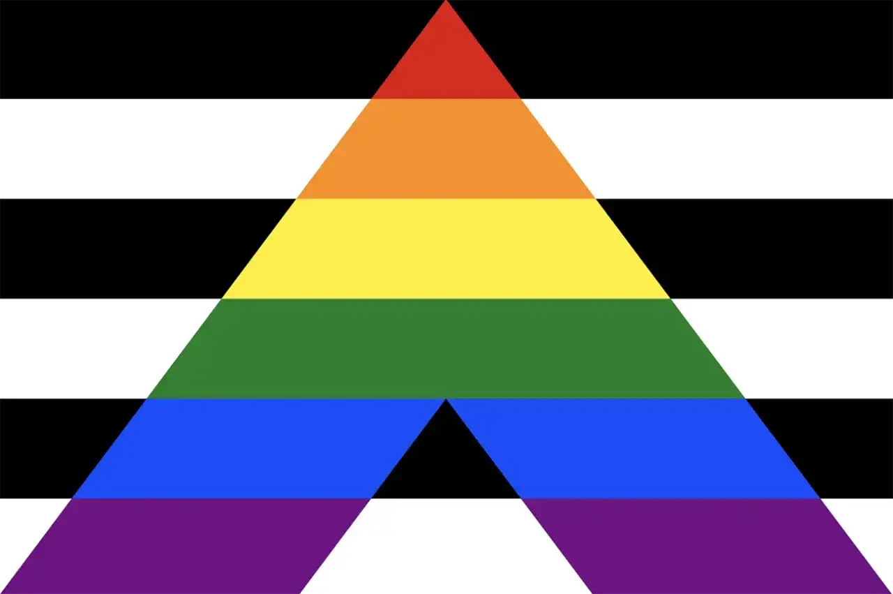 Flaga z tęczowym trójkątem i czarno-białymi pasami. Tęcza ma 6 kolorów, ale ta flaga pokazuje, ile kolorów ma flaga LGBT, włączając w to białe i czarne pasy.