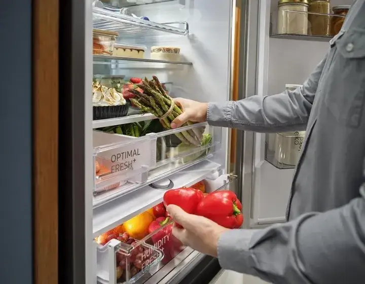 wnętrze lodówki samsung strefy fresh