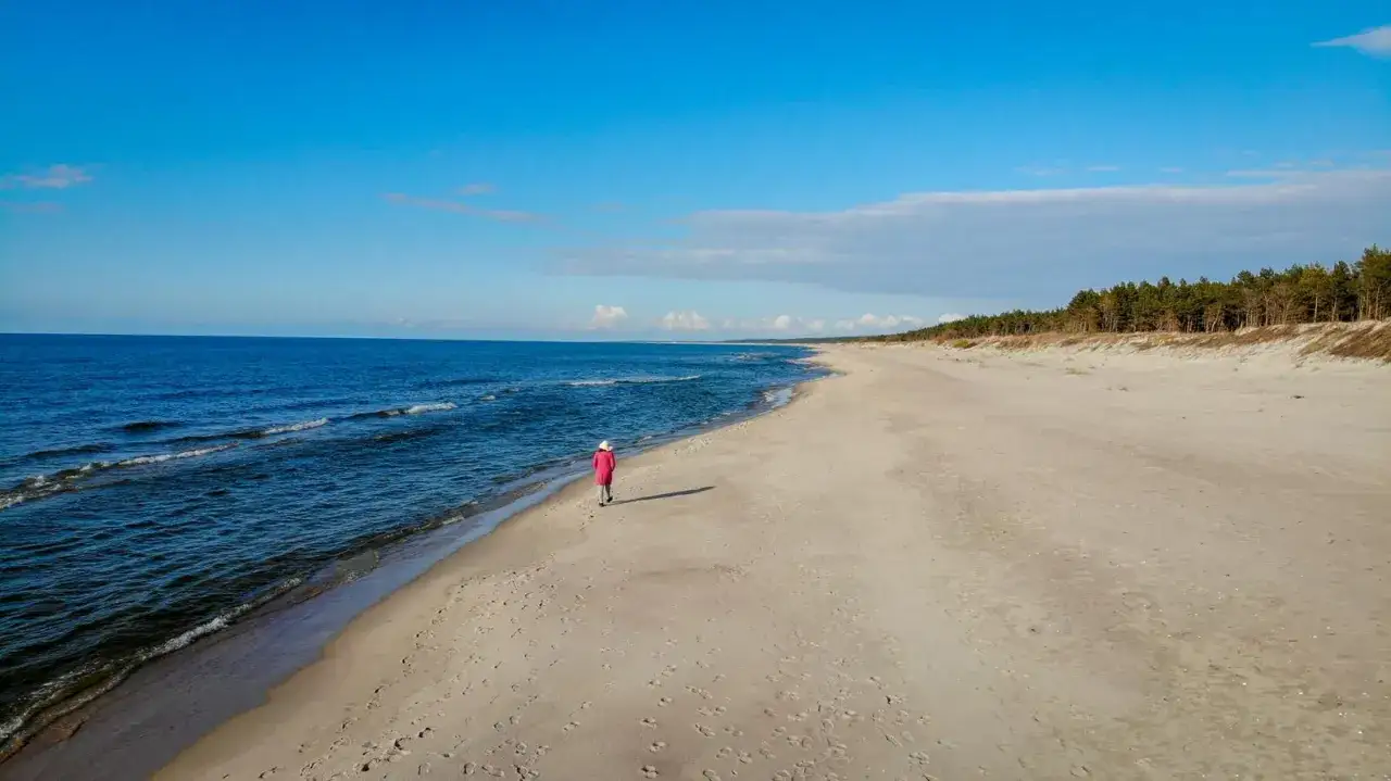Samotna postać w różowym płaszczu spaceruje po szerokiej, piaszczystej plaży. Czy warto jechać do Krynicy Morskiej? Widok na spokojne morze i las sosnowy sugeruje, że tak.