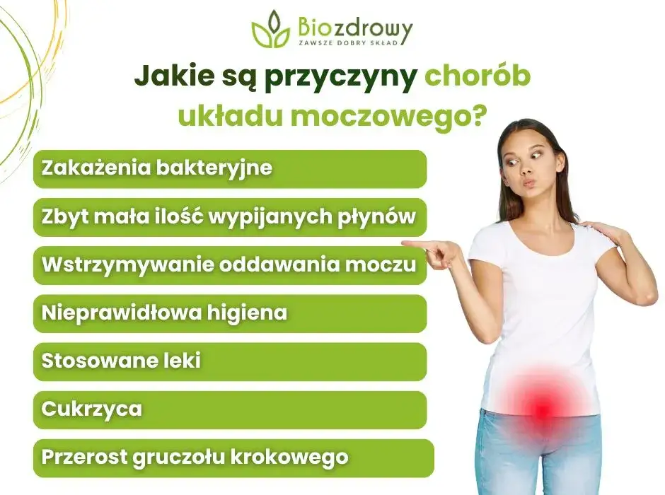 Objawy chorób układu moczowego infografika