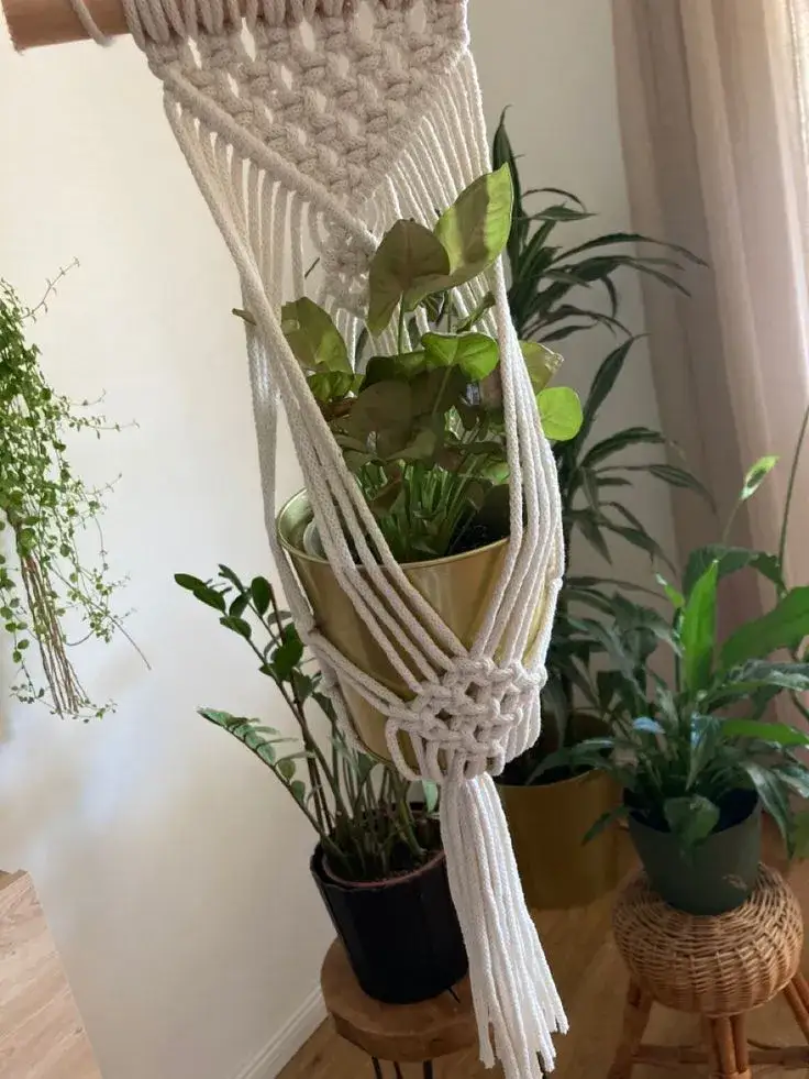 Zdjęcie Makrama kwietnik na ścianę jak zrobić - proste instrukcje i porady