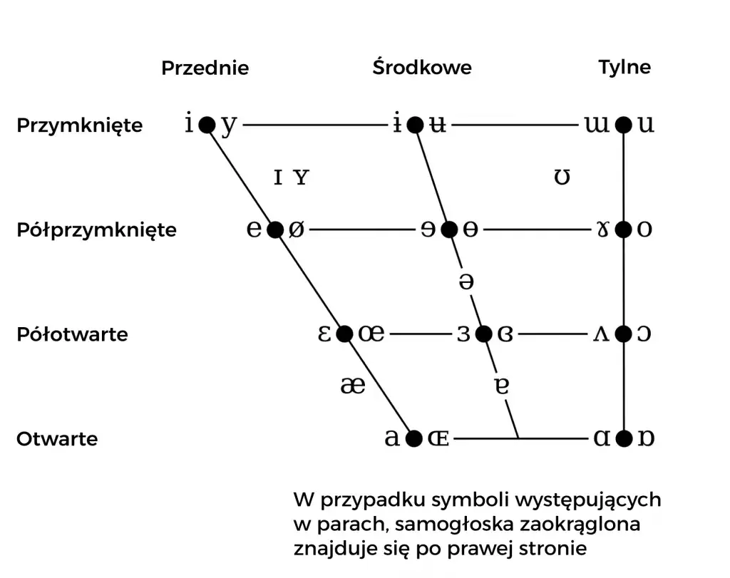 Tabela symboli IPA dla języka francuskiego z przykładami