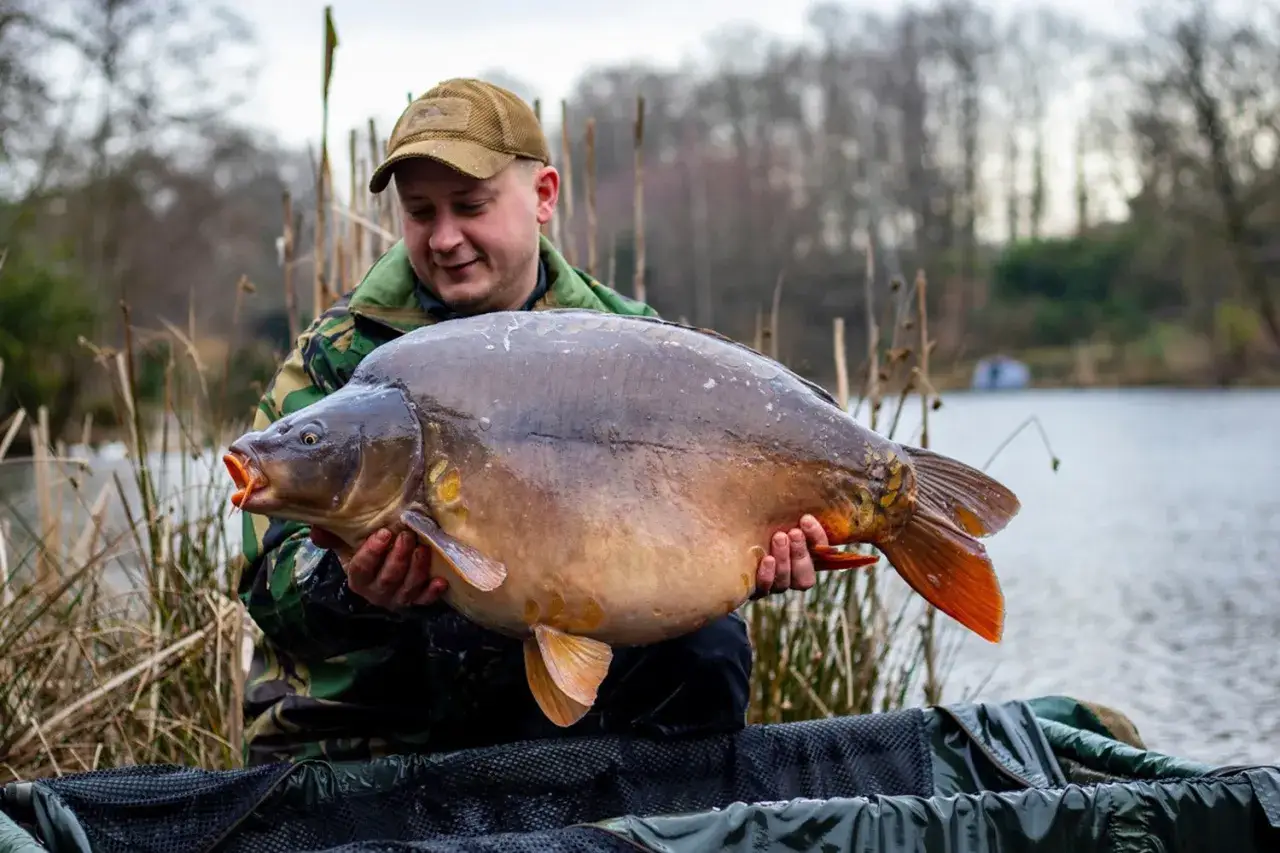 wędkarz łowiący karpia