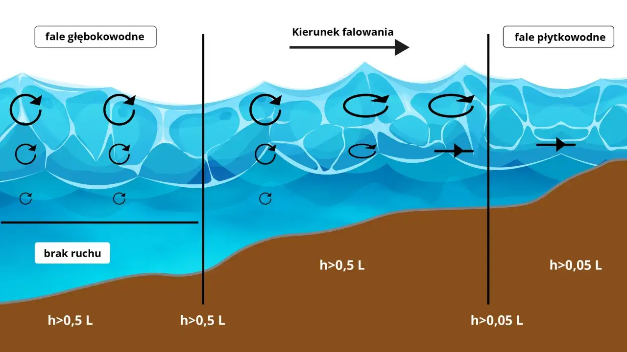 Ilustracja pokazuje, jak powstają fale na morzu. W głębokiej wodzie cząsteczki wody krążą, tworząc fale głębokowodne. W płytkiej wodzie ruch jest inny, tworząc fale płytkowodne.