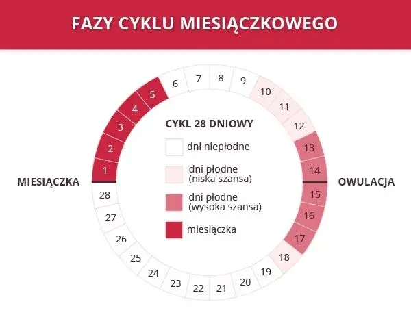 kobieta kalendarz cykl miesiączkowy