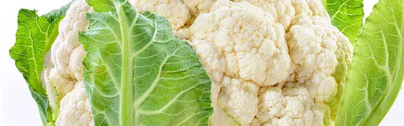 Zdjęcie Smaczne i zdrowe przepisy na obiad z kalafiora, które zaskoczą