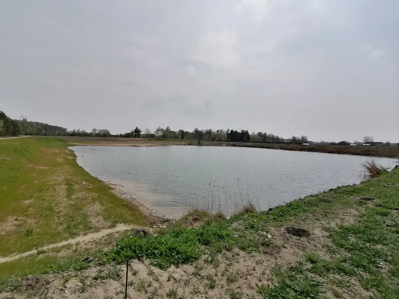 Spokojne łowisko wędkarskie pod dębem, z wodą odbijającą niebo i zielonymi brzegami.