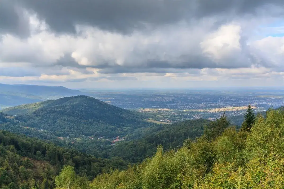 Bielsko-Biała panorama z rowerzystą