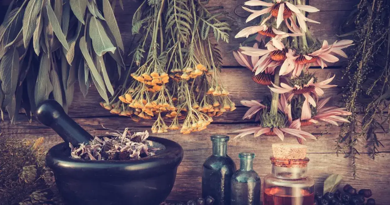 Suszone zioła, moździerz i buteleczki z nalewkami. Naturalne metody leczenia, kt&oacute;re pomagają na anginkę.