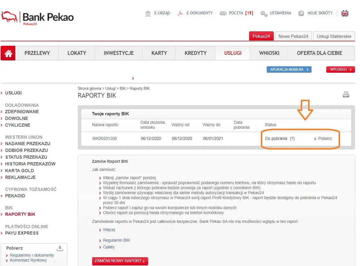 przykładowy raport BIK scoring, sekcja płatności, interpretacja