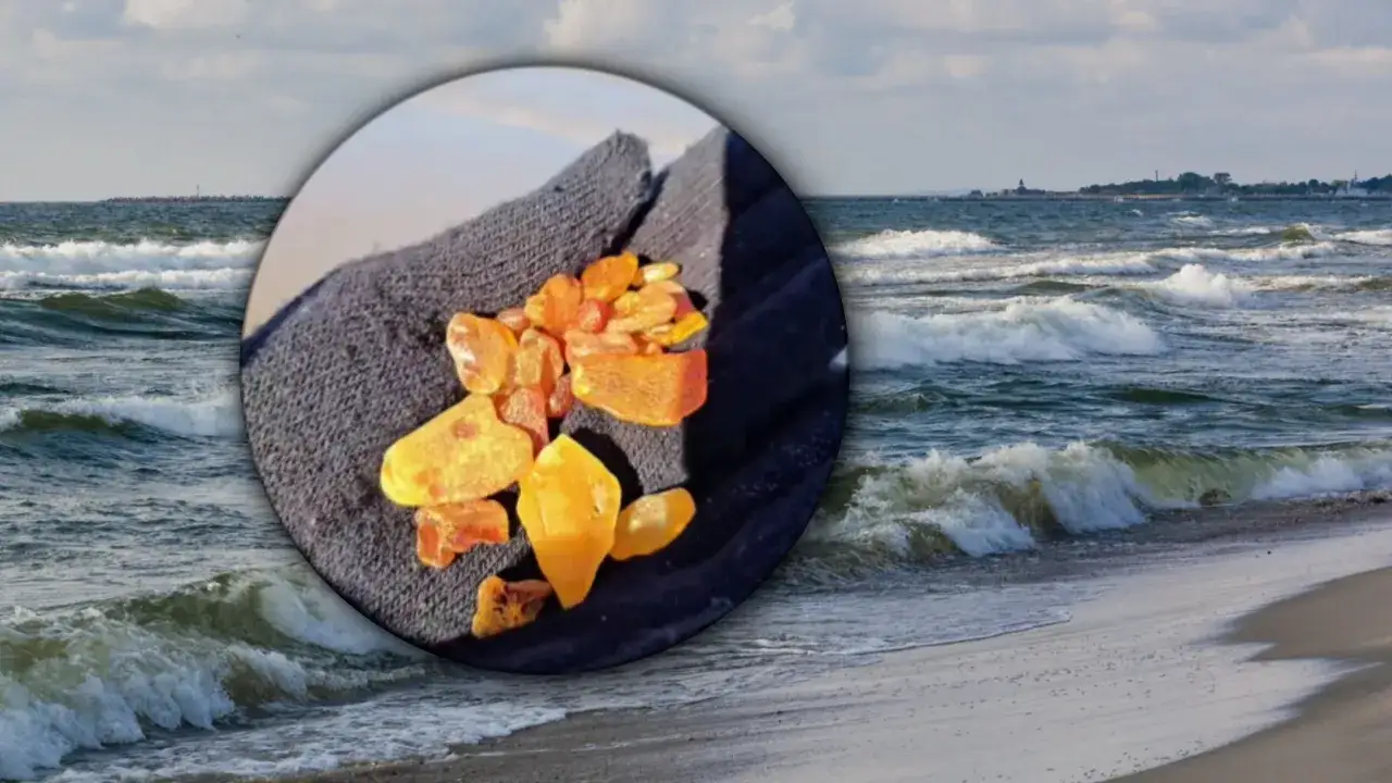 Garść bursztynów znalezionych na polskiej plaży. Warto wiedzieć, gdzie szukać bursztynu w Polsce, by samemu znaleźć takie skarby.