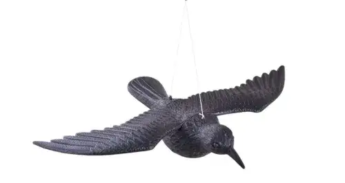 odstraszacze wr&oacute;bli kurnik wizualne