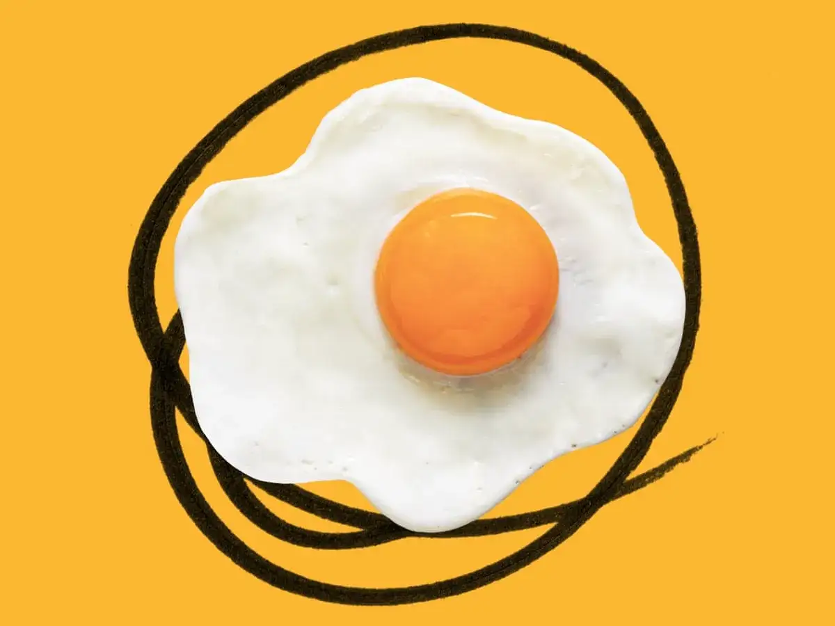 Jajko sadzone na ż&oacute;łtym tle, otoczone czarną kreską. Poznaj bogactwo wartości odżywczych jajka!