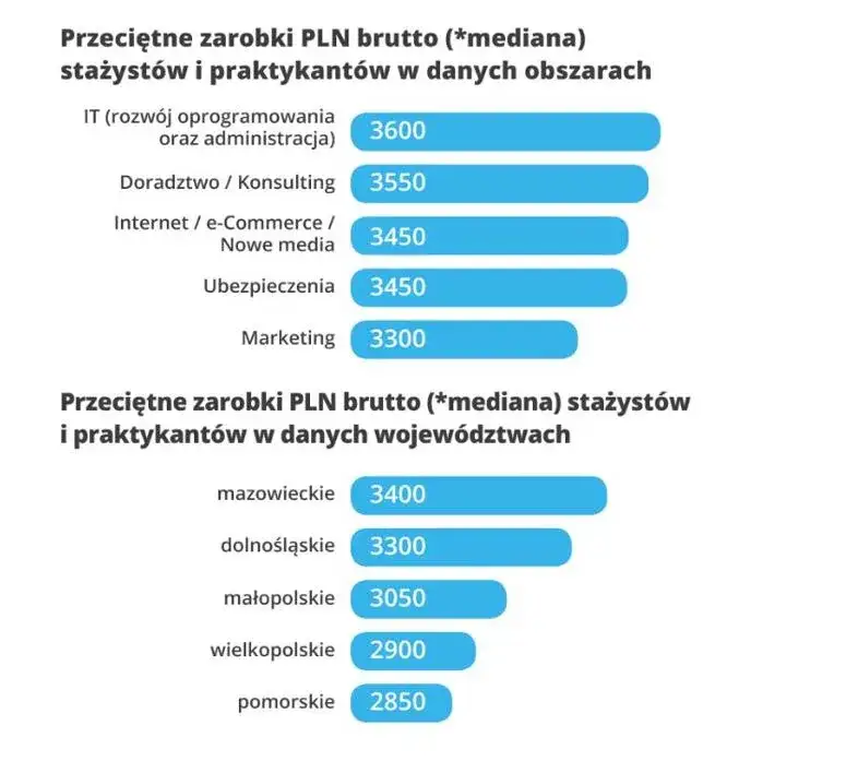 Zarobki stażyst&oacute;w w IT finansach marketingu