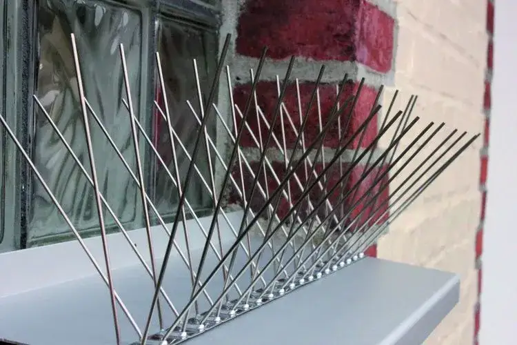 kolce na gołębie na parapet montaż