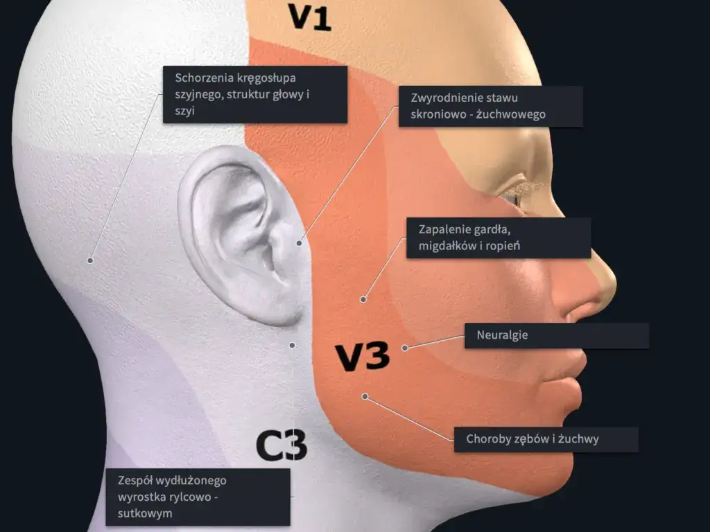 b&oacute;l ucha przyczyny