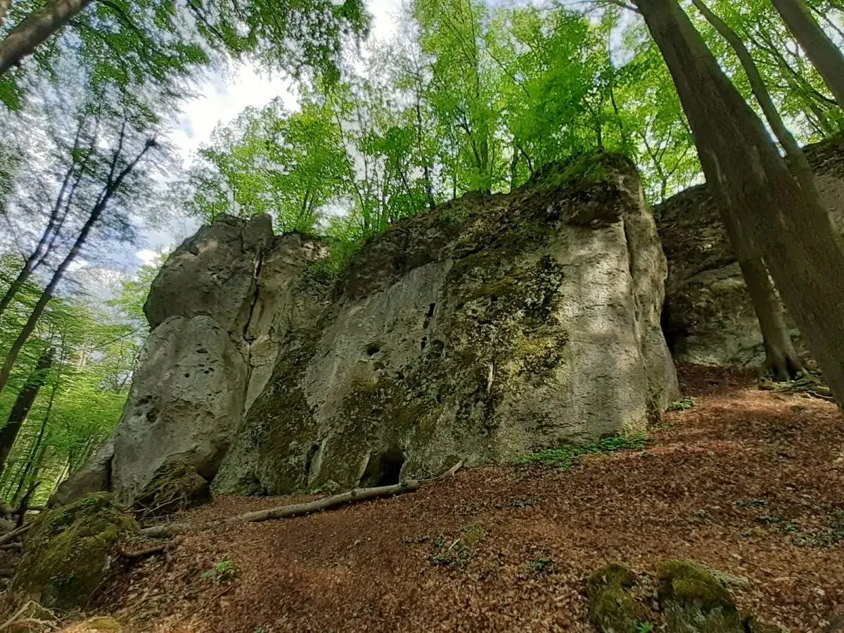Zamek Ostrężnik ruiny