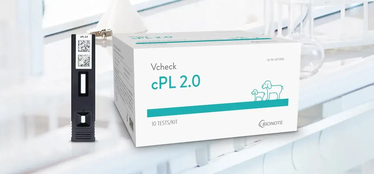 Zestaw Vcheck cPL 2.0 do badania lipazy u psa. Pozwala sprawdzić, czy lipaza u psa jest w normie.