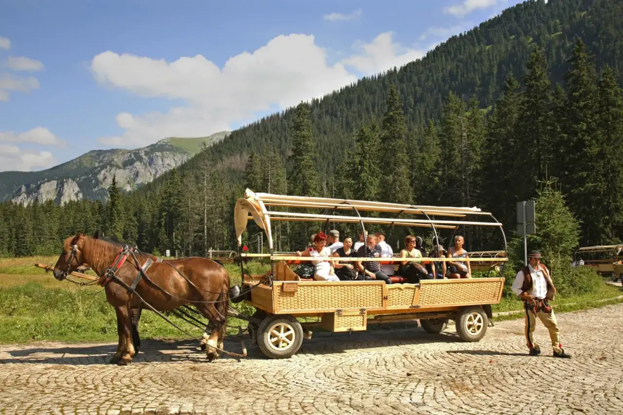 Konik ciągnie wóz z turystami przez Tatry. W oddali widać góry i las, a obok stoi przewodnik w stroju regionalnym.
