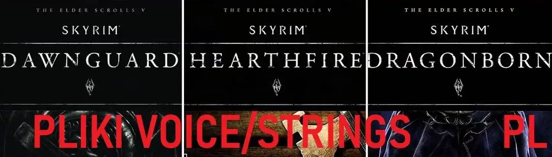 Zdjęcie Jak zainstalować spolszczenie z dubbingiem i napisami do Skyrim Legendary Edition