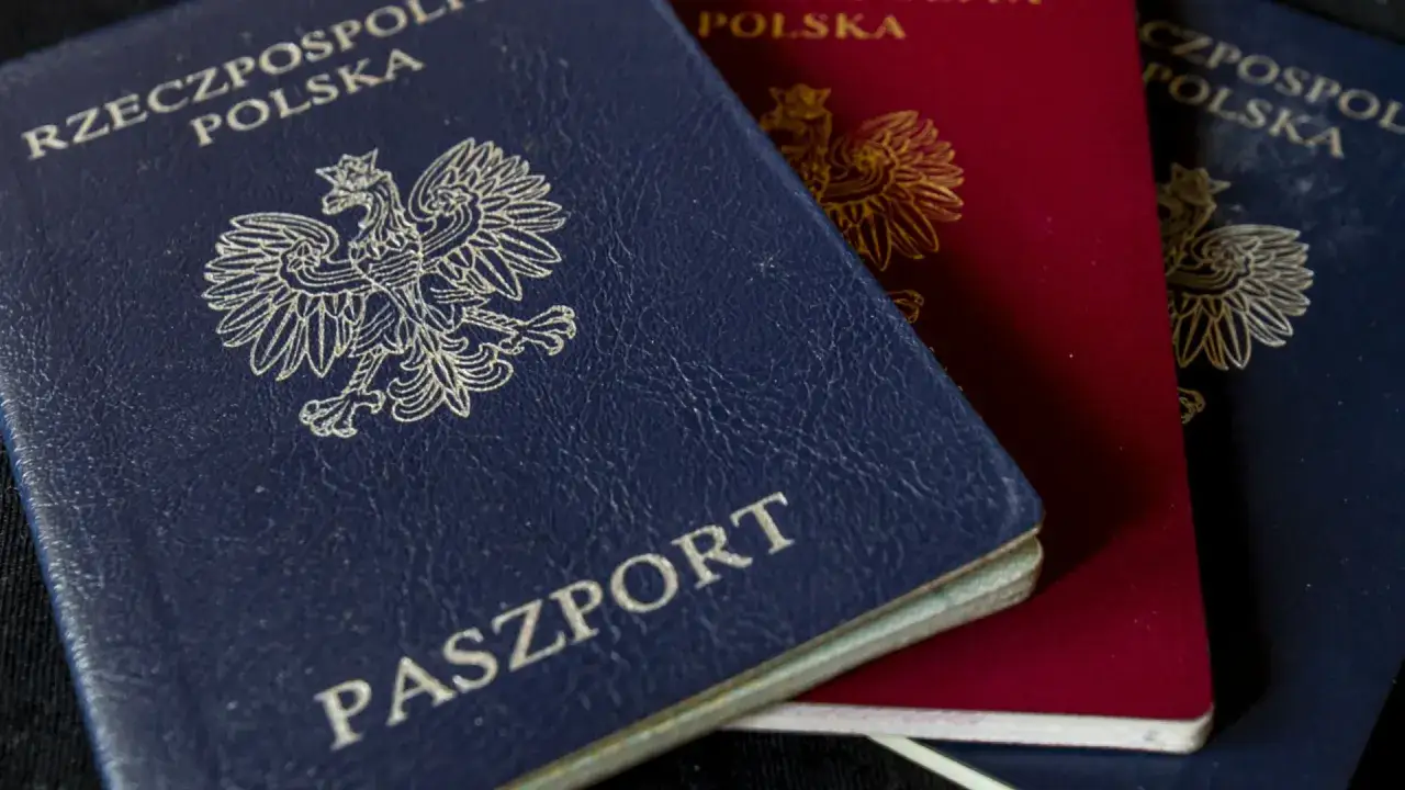 wyrzucony paszport do śmieci