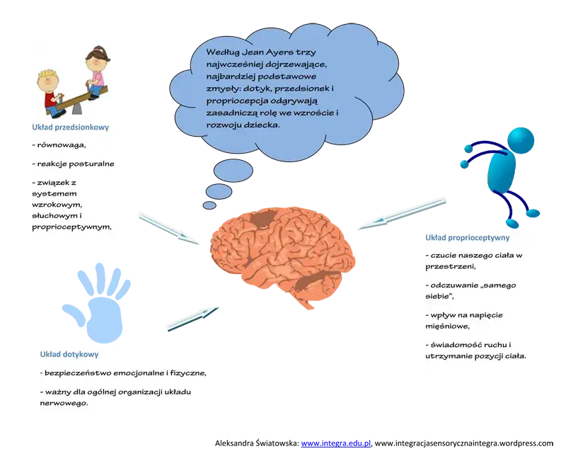 układ przedsionkowy proprioceptywny dotykowy diagram