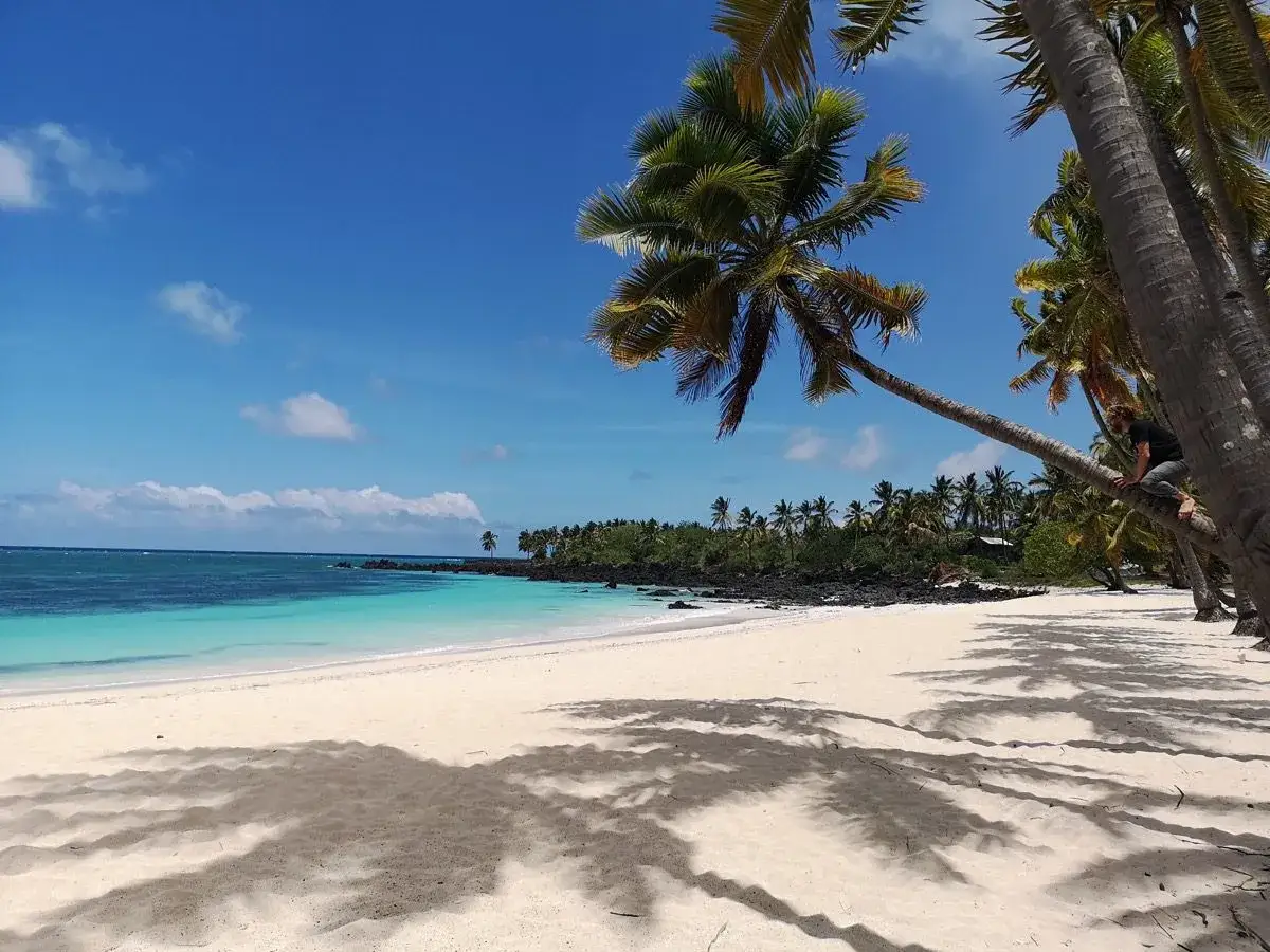 Mapa świata z zaznaczonymi trasami lotniczymi z Polski