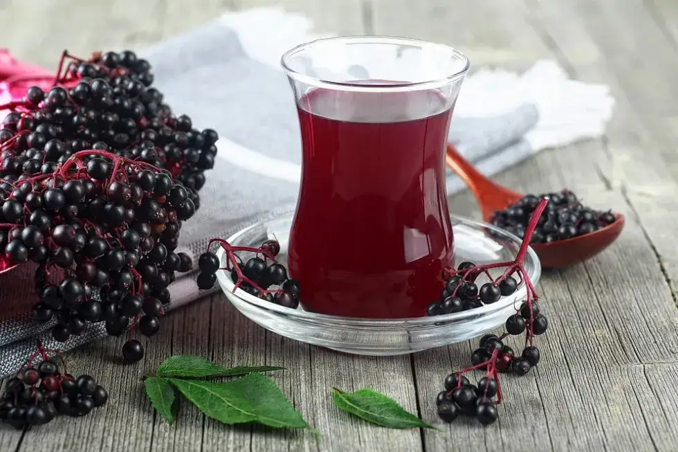 sposoby picia soku z czarnego bzu