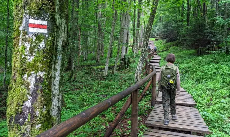 Tarnica szlak czerwony Szeroki Wierch