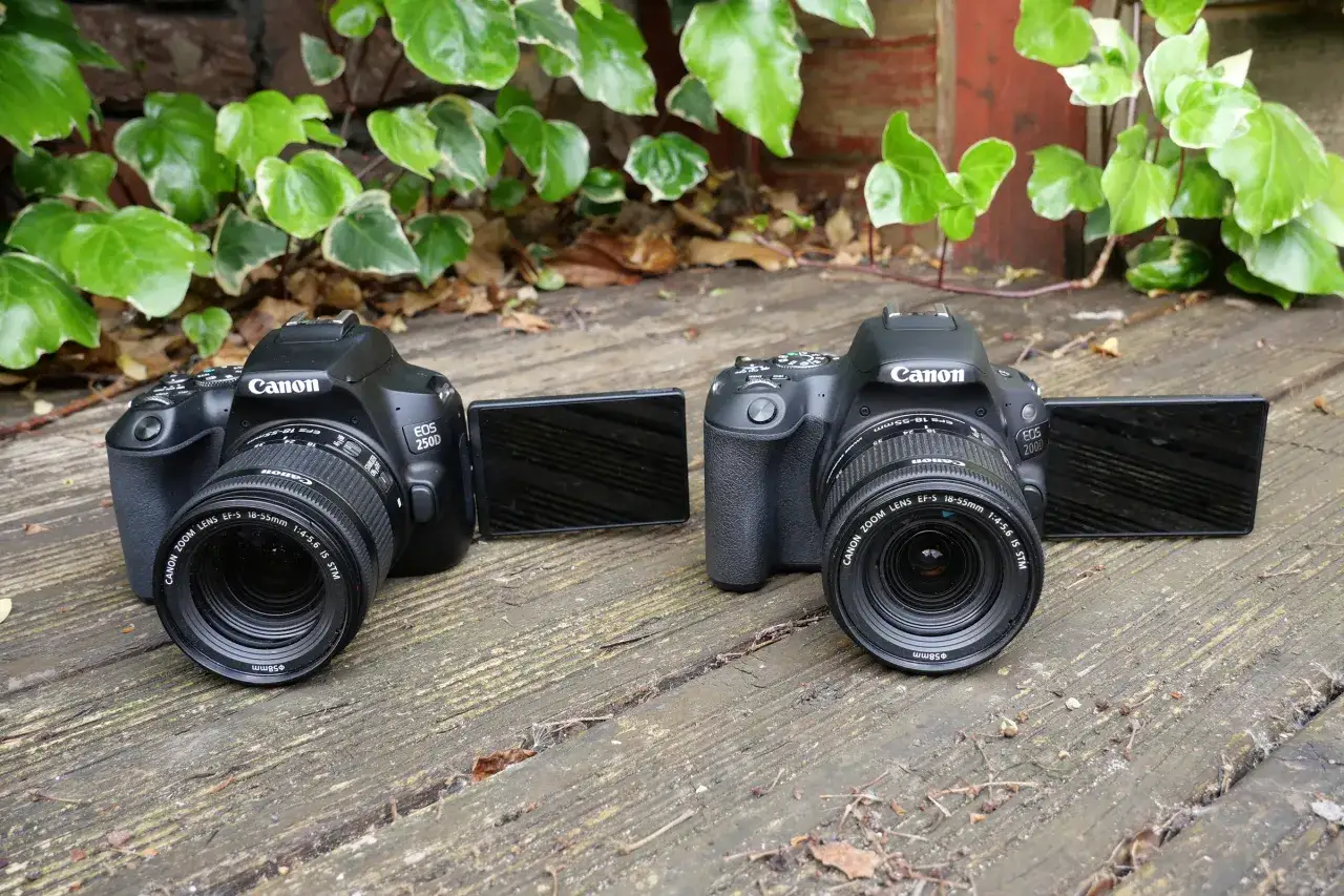 Canon EOS 2000D vs 250D comparison