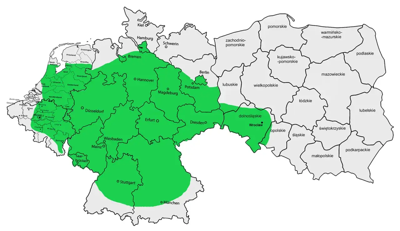 bus do holandii trasa mapa czynniki wpływające na cenę