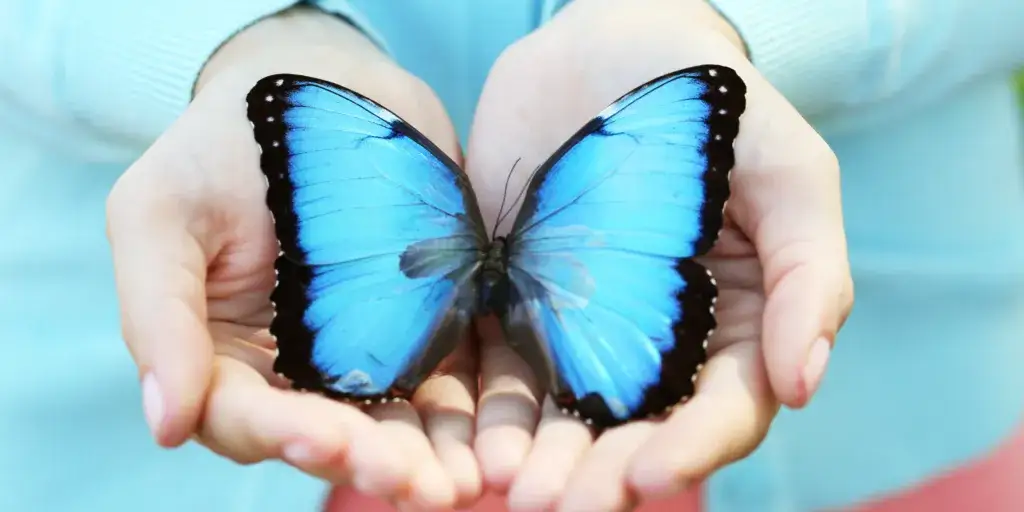 masaż dotyk motyla delikatny dotyk