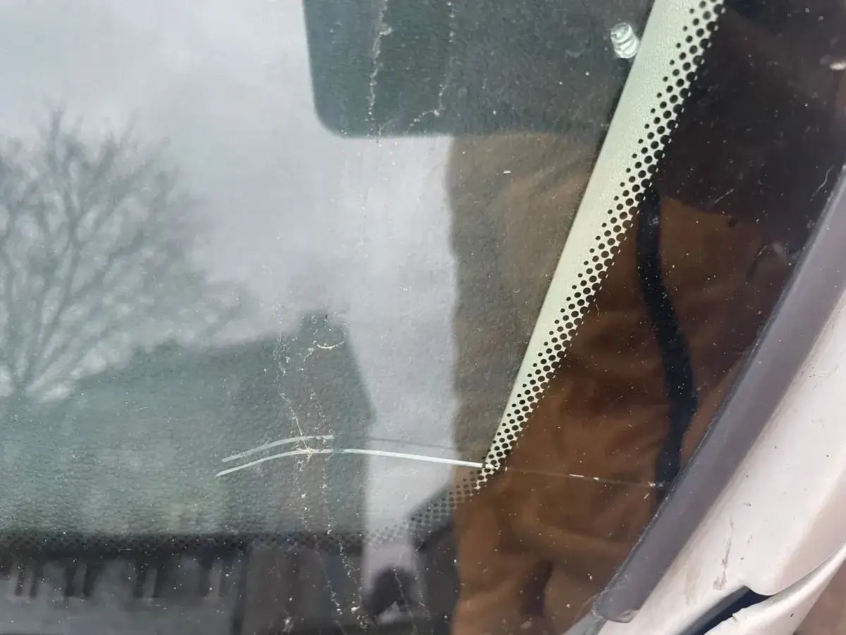Mały pajączek na szybie samochodu, jakby malował pajęczynę na tle drzew.