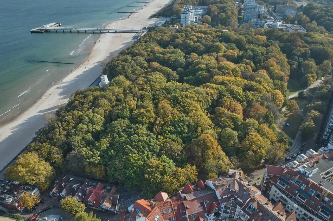 Jesienne drzewa otulają plażę i molo w Kołobrzegu. Zastanawiasz się, ile kosztuje klimatyczne w Kołobrzegu?