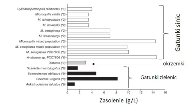Por&oacute;wnanie zasolenia m&oacute;rz świata infografika