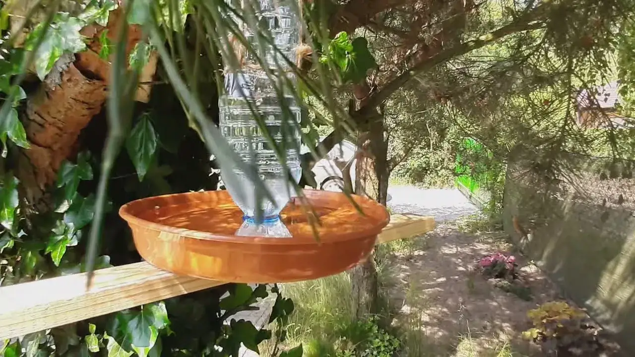 DIY poidło dla ptak&oacute;w z butelki i podstawki