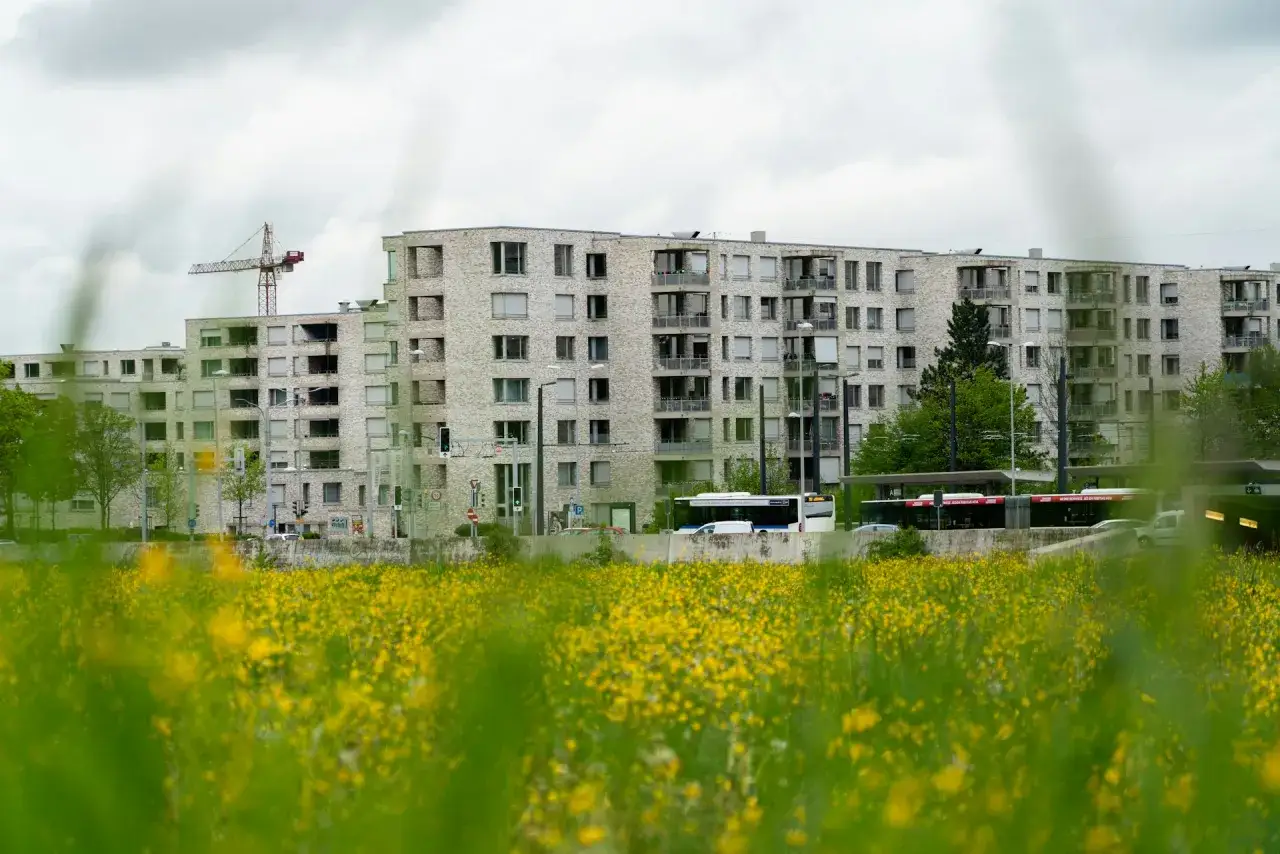 zarobki deweloper stanowiska wykres