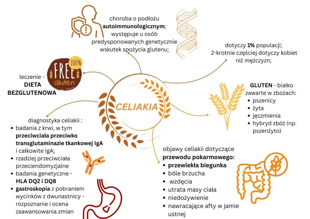 diagnostyka nietolerancji glutenu schemat