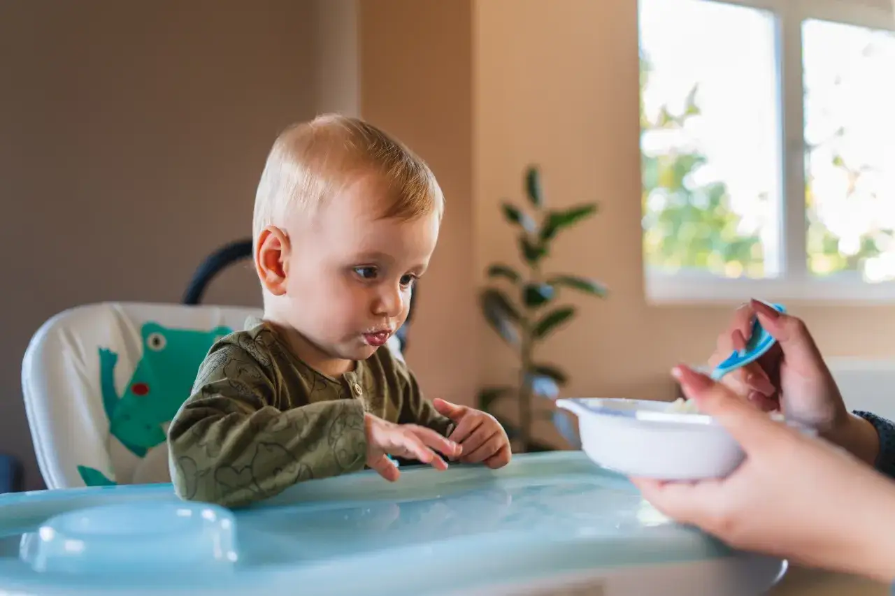 Mały chłopiec w krzesełku do karmienia z zaciekawieniem patrzy na łyżeczkę z jedzeniem. To jego pierwsze doświadczenia z cielęciną dla niemowlaka.